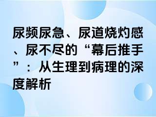 尿频尿急、尿道烧灼感、尿不尽的“幕后推手”：从生理到病理的深度解析